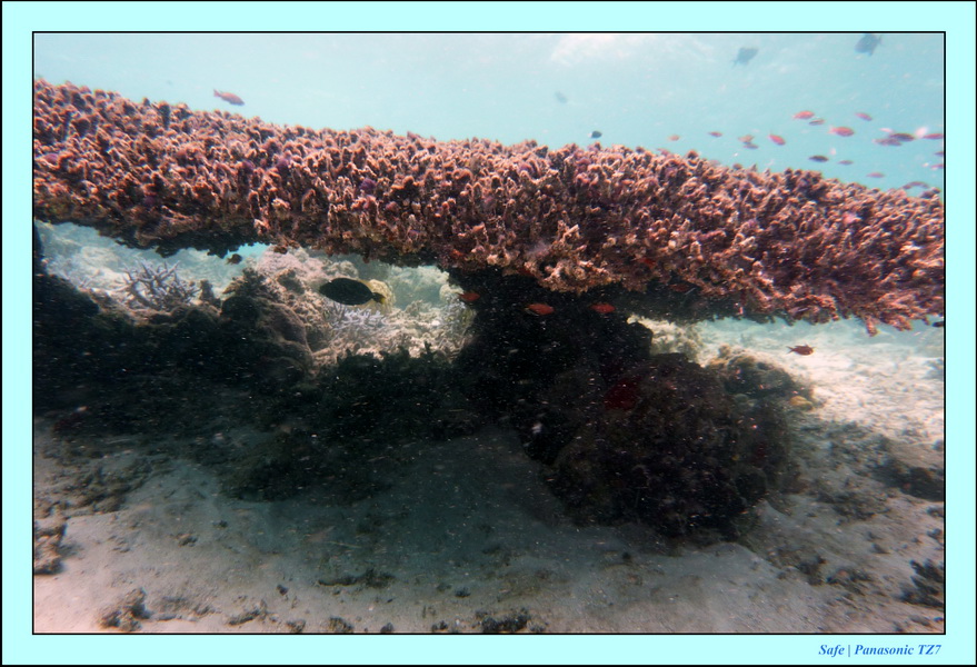 2009   07   Matakin 33